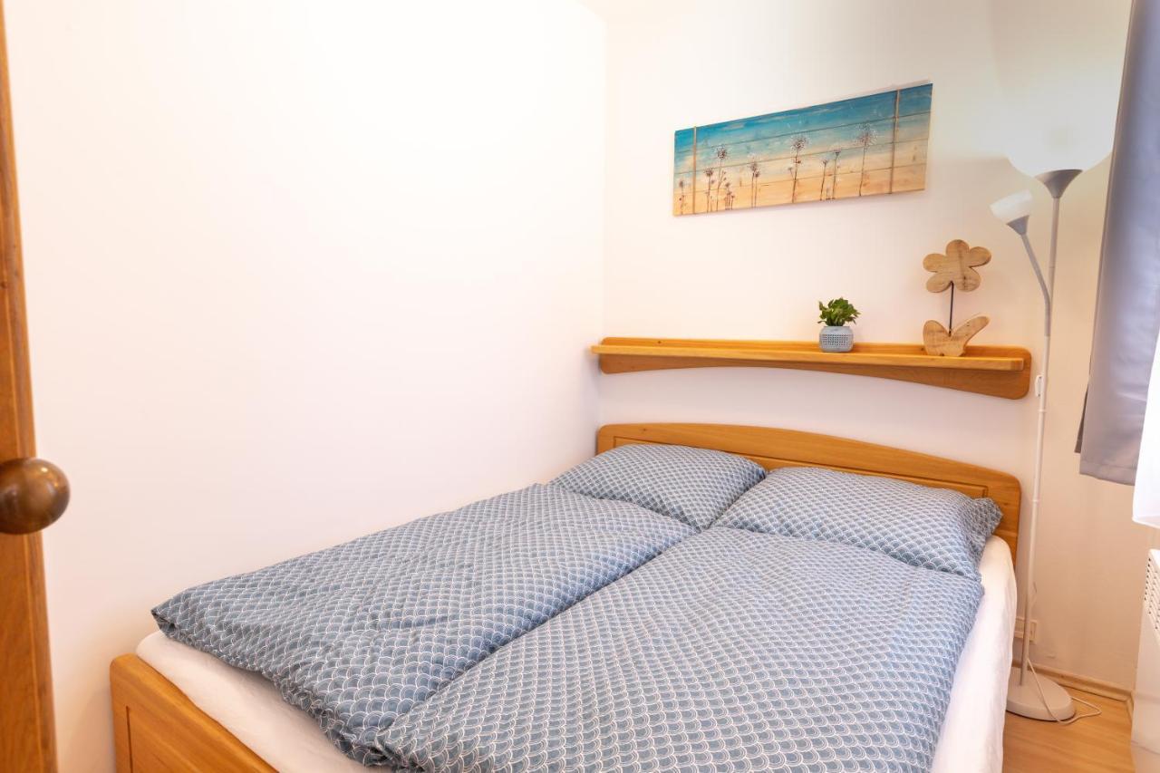 Apartmany D U Sjezdovky - הורני מיסצקי מראה חיצוני תמונה